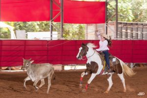Cavalo mais exótico do mundo estará em Campo Grande (MS) neste domingo