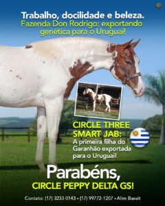 <strong>Potra Circle Three Smart JAB é comercializada para o Uruguai</strong>