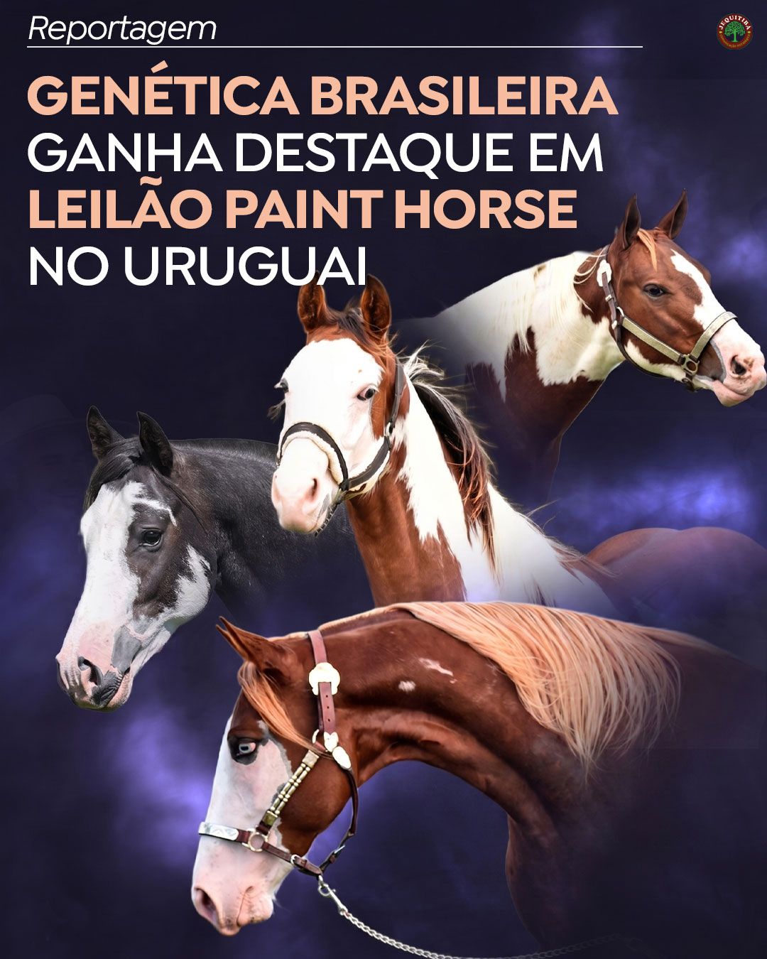 No momento, você está visualizando Genética brasileira ganha destaque em Leilão Paint Horse do Uruguai